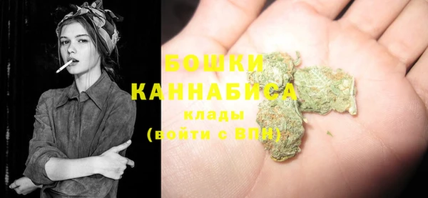 стафф Дмитриев