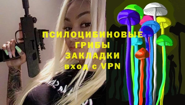 МДПВ Аркадак