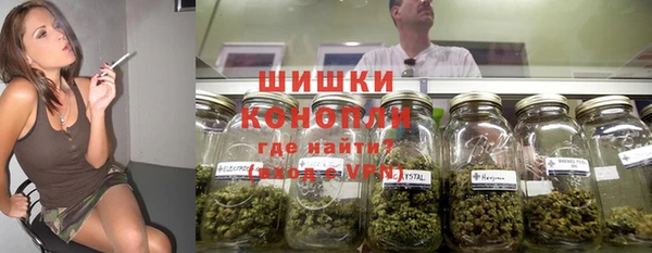 винт Арсеньев