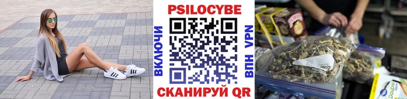 наркота  Наволоки  Галлюциногенные грибы мухоморы 