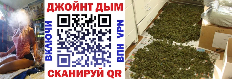 Каннабис OG Kush  мориарти официальный сайт  Наволоки  где найти наркотики 